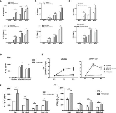 Soluble C-Type Lectin-Receptor Ligands Stimulate ROS Production in Dendritic Cells and Potentiate Killing of MRSA as Well as the MRSA Induced IL-12 Production